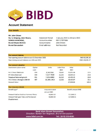 Download Brunei Bank Islam Brunei Darussalam bank statement excel Photoshop template